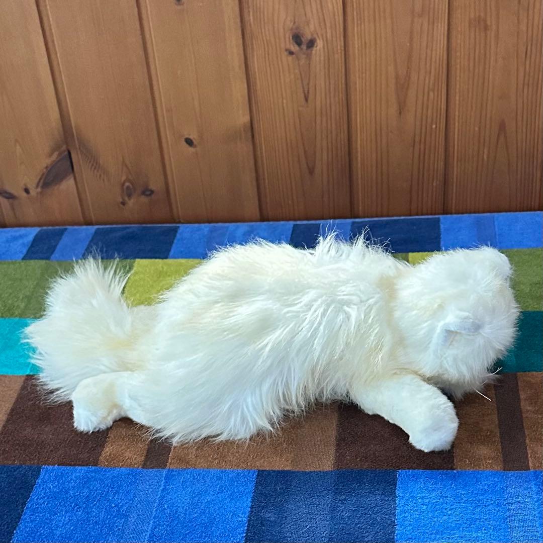 【入手困難】tyビーニーベイビーズ　ペルシャネコぬいぐるみ