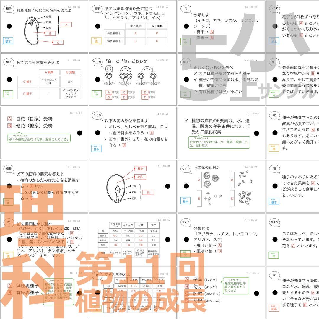 中学受験【5年上 理科 全セット 1-19回】組分けテスト対策 予習シリーズ