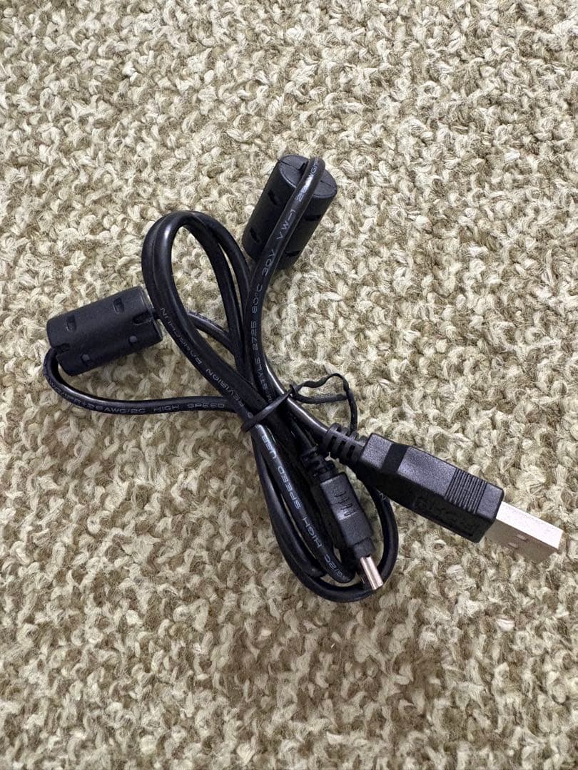 DWE MY BIG BOOK OF WORDS ペン付き