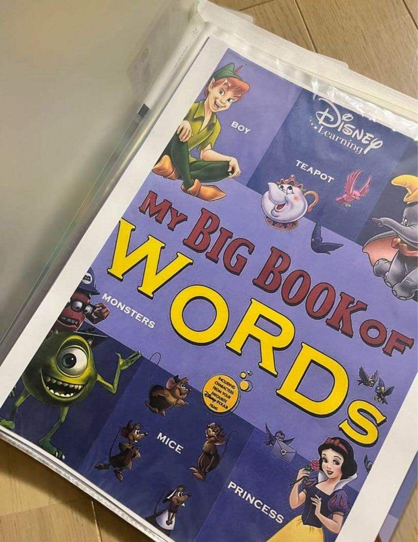 DWE MY BIG BOOK OF WORDS ペン付き