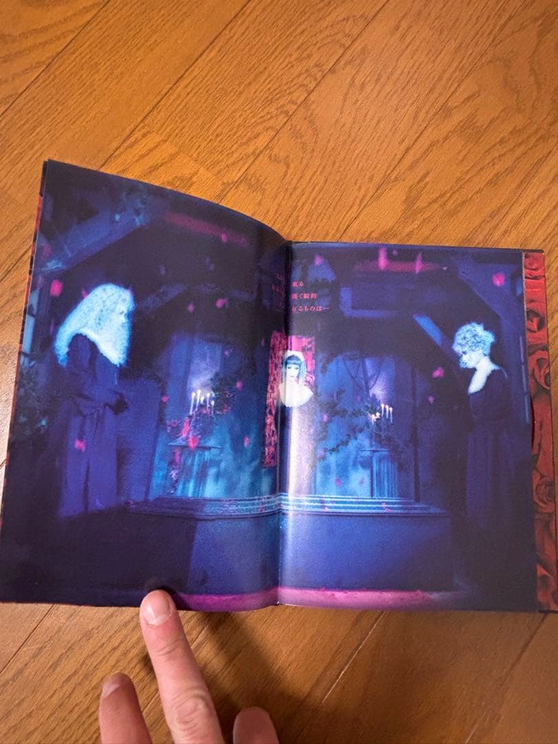 【初回限定盤】MALICE MIZER 「薔薇の聖堂」CDアルバム