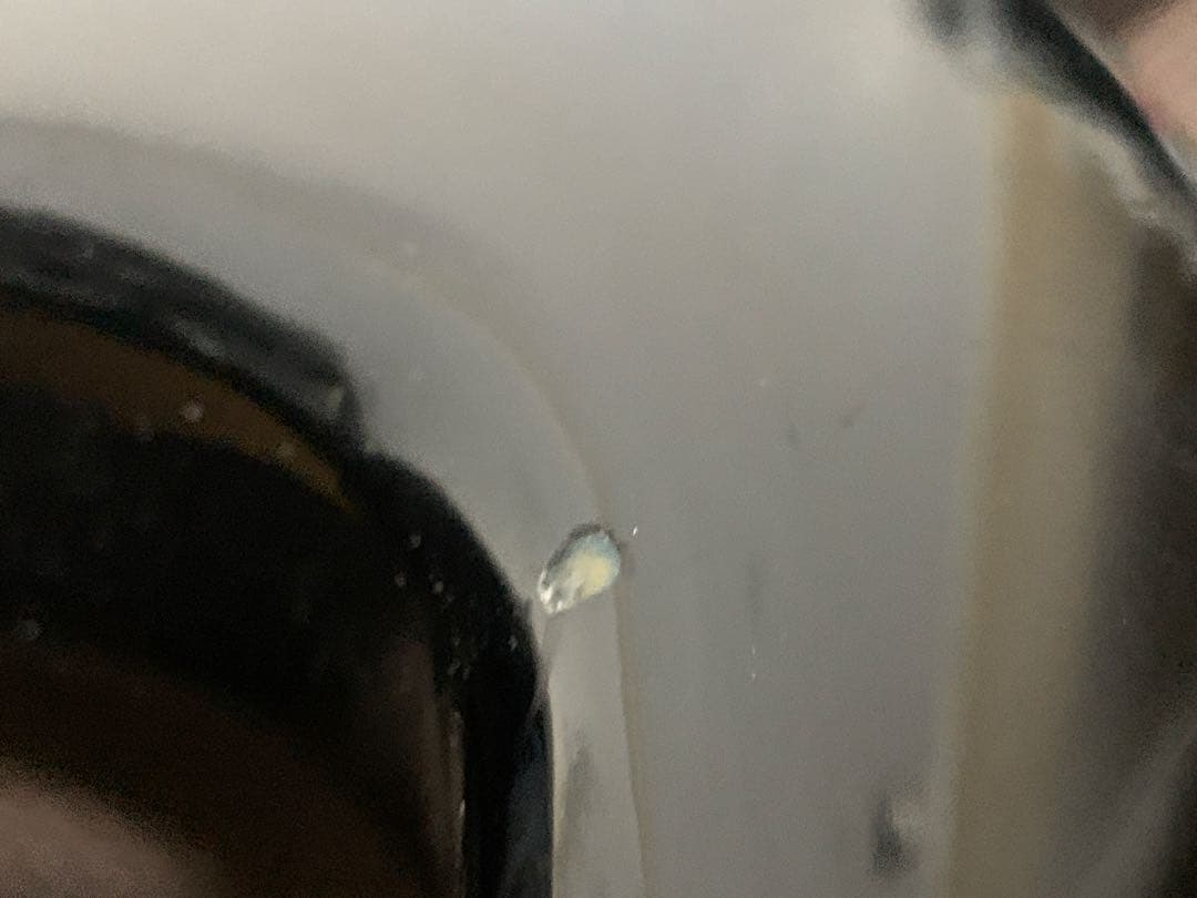 フォトジェニック photogenic ストラトキャスター ストラト BBS