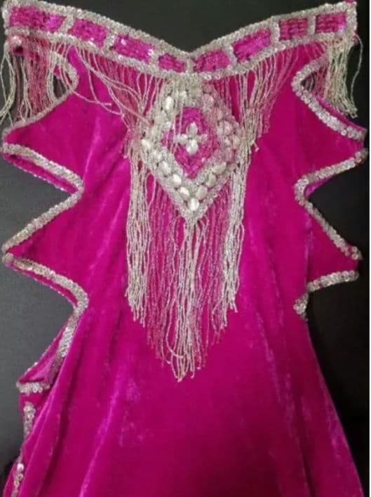 値下げ中 着画あり ベリーダンス 衣装 フューシャピンク ベロア アメリカ直輸入