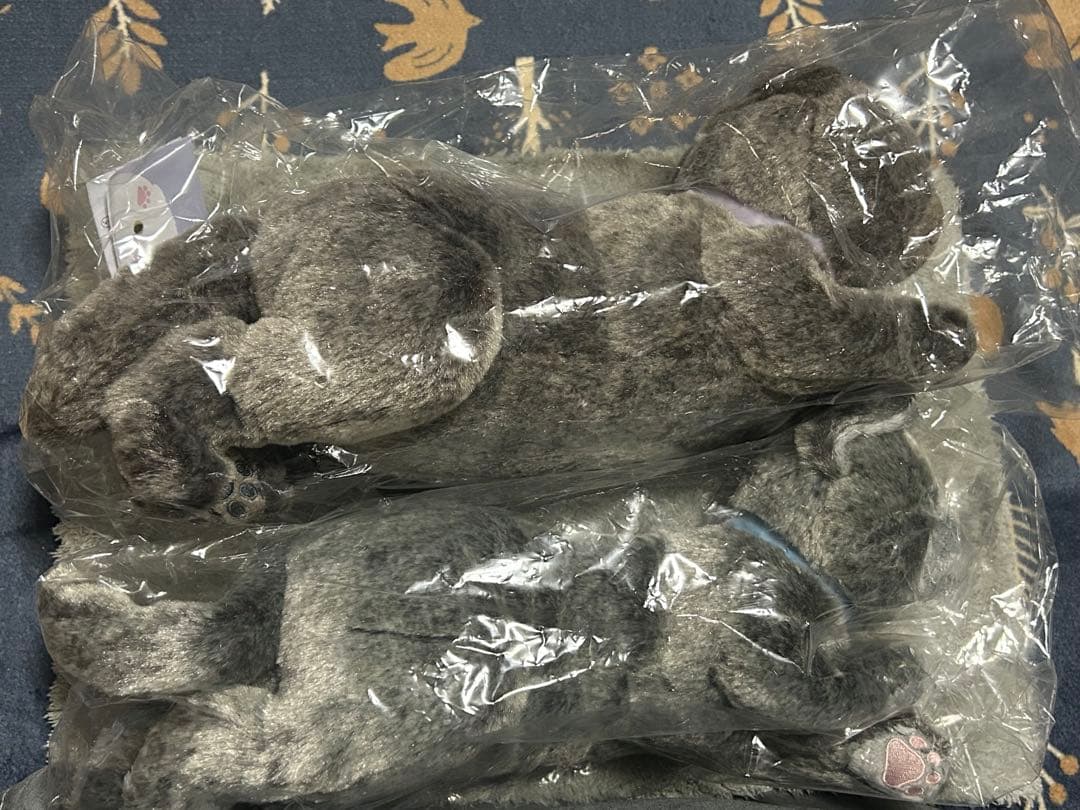 ひざねこ スコティッシュフォールドGY ロシアンブルーS ぬいぐるみ