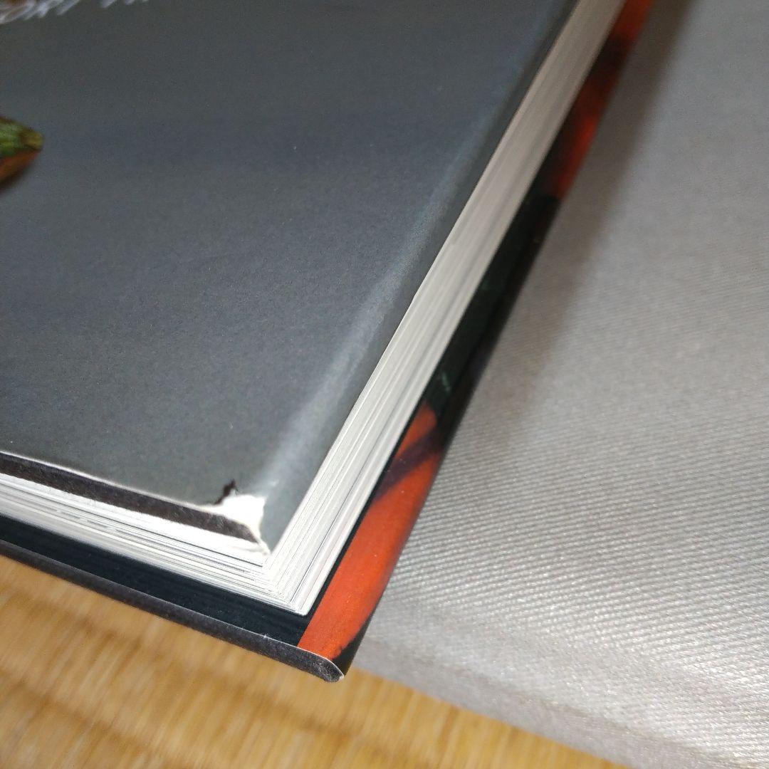 Lamps of Louis Comfort Tiffany 洋書　jc2