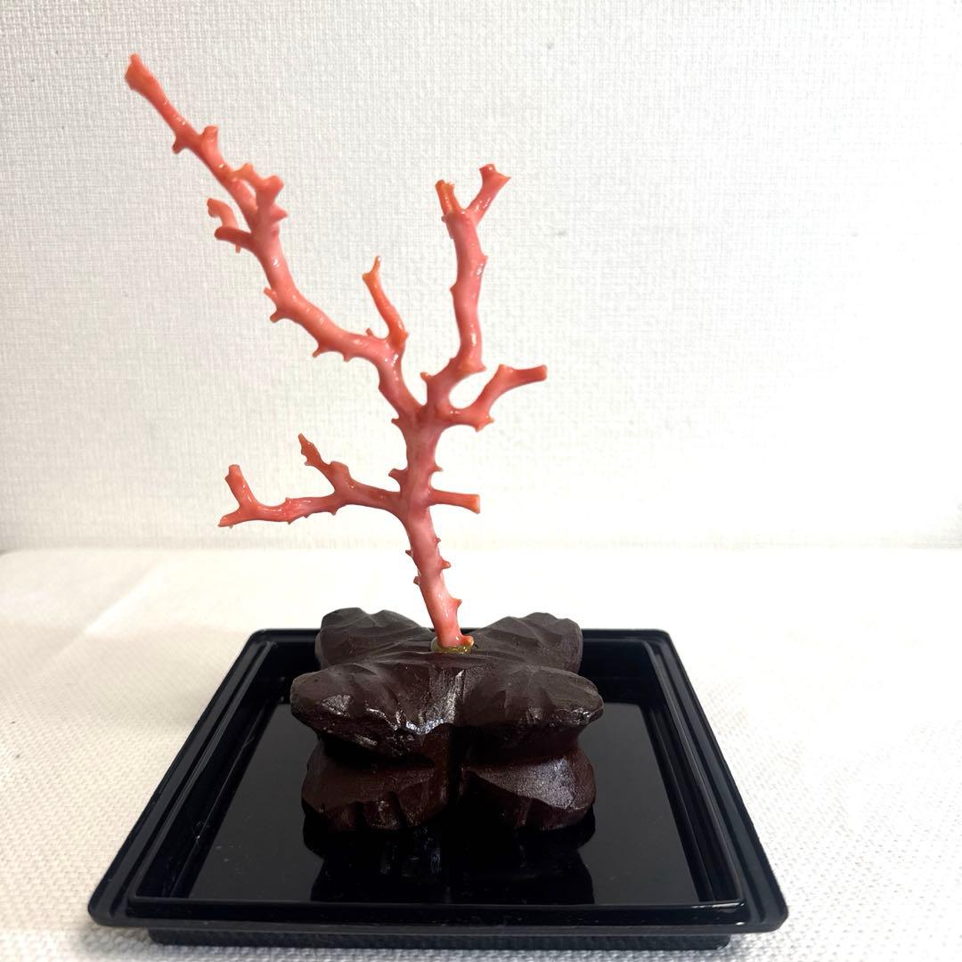 赤珊瑚 サンゴ 珊瑚 置物