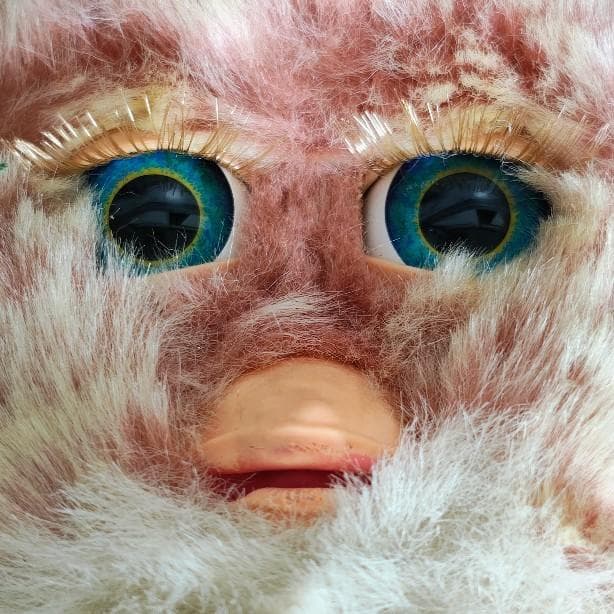 ファービー2　クランベリークッキー　青目　英語版 furby2 #14