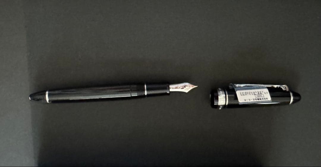 セーラー万年筆 プロフィットライト シルバートリム ブラック EF（極細字）