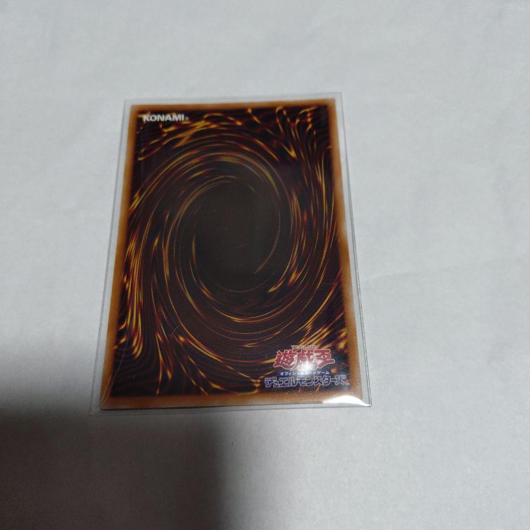 スカーレッド・ノヴァ・ドラゴン　プリシク　匿名配送