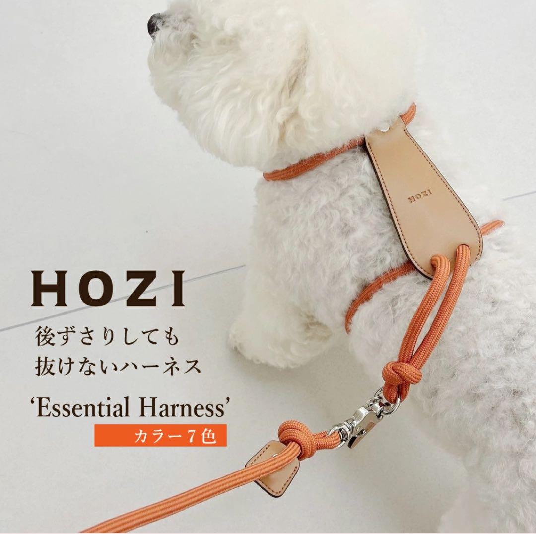 韓国ブランド　HOZI ネイビー ハーネスとリードセット