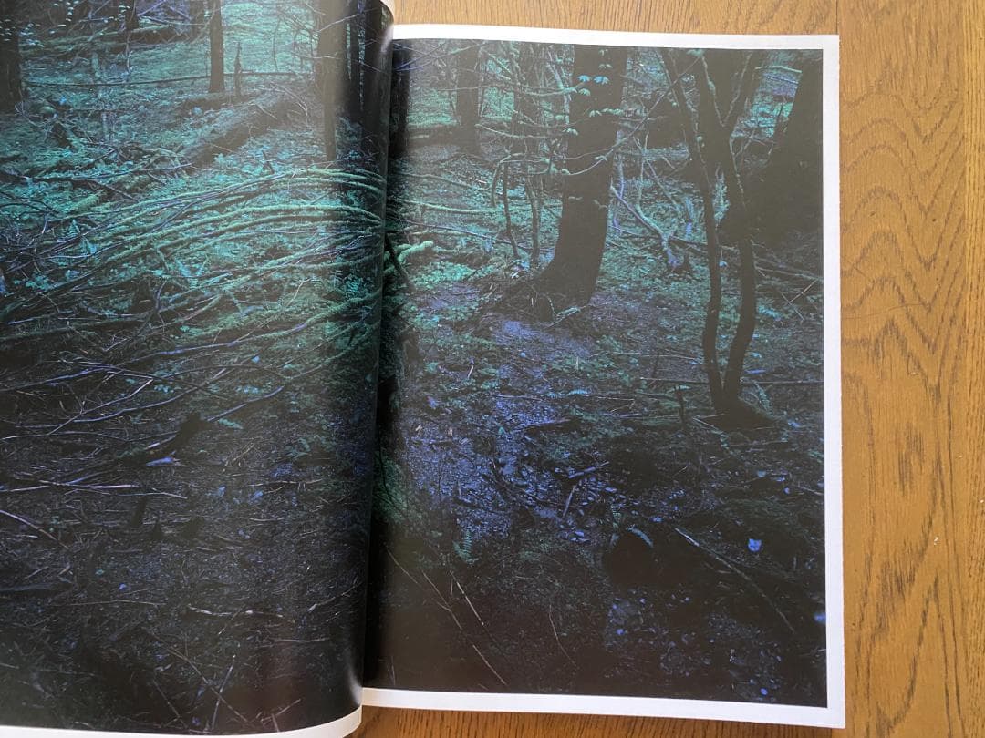 上田義彦「クゥィノルト/QUINAULT」1993年　直筆サイン入り　美品