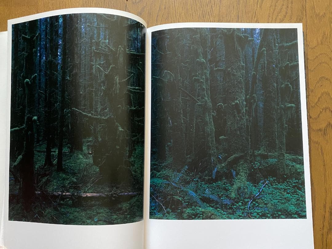 上田義彦「クゥィノルト/QUINAULT」1993年　直筆サイン入り　美品