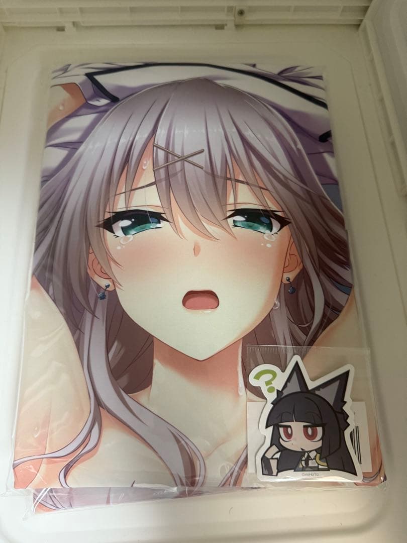 アイナ・レミネン 抱き枕カバー 　 「虜ノ旋律-refrain-」　3種セット