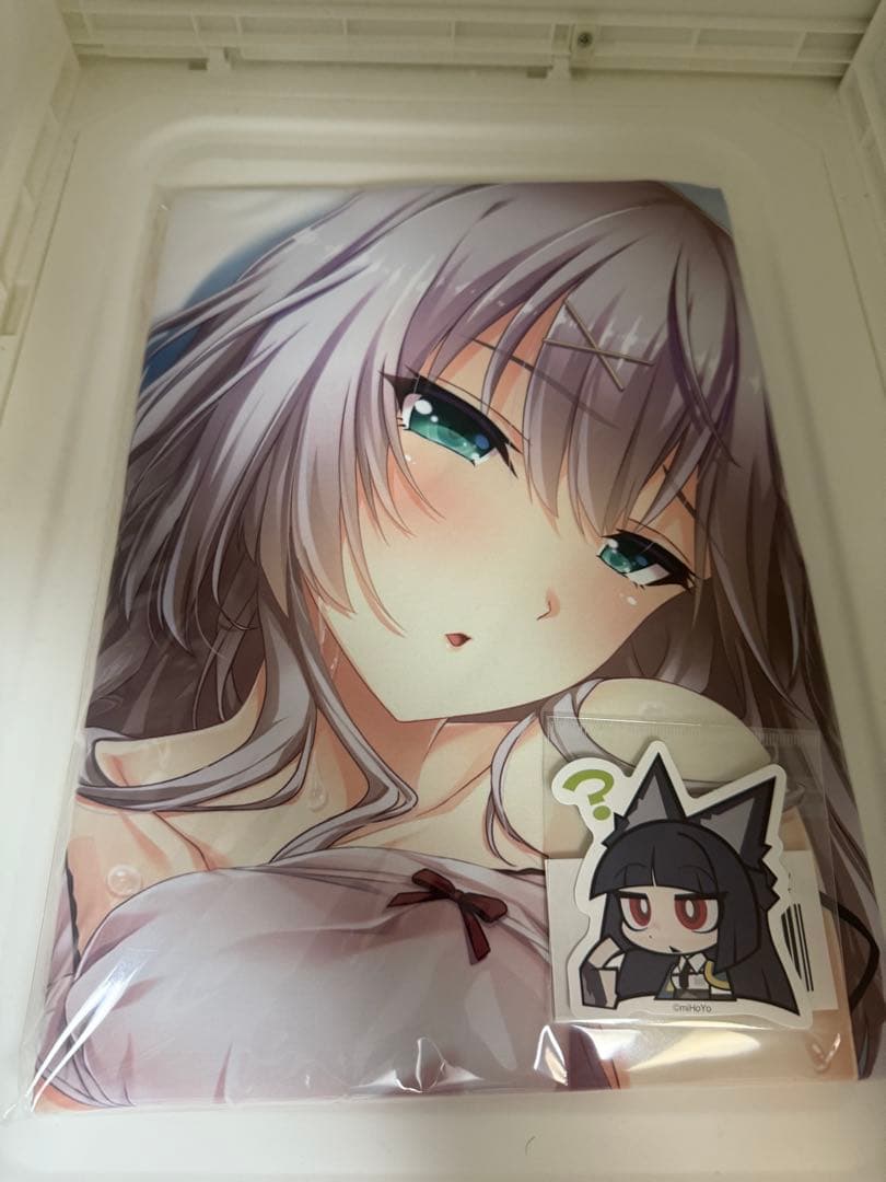 アイナ・レミネン 抱き枕カバー 　 「虜ノ旋律-refrain-」　3種セット