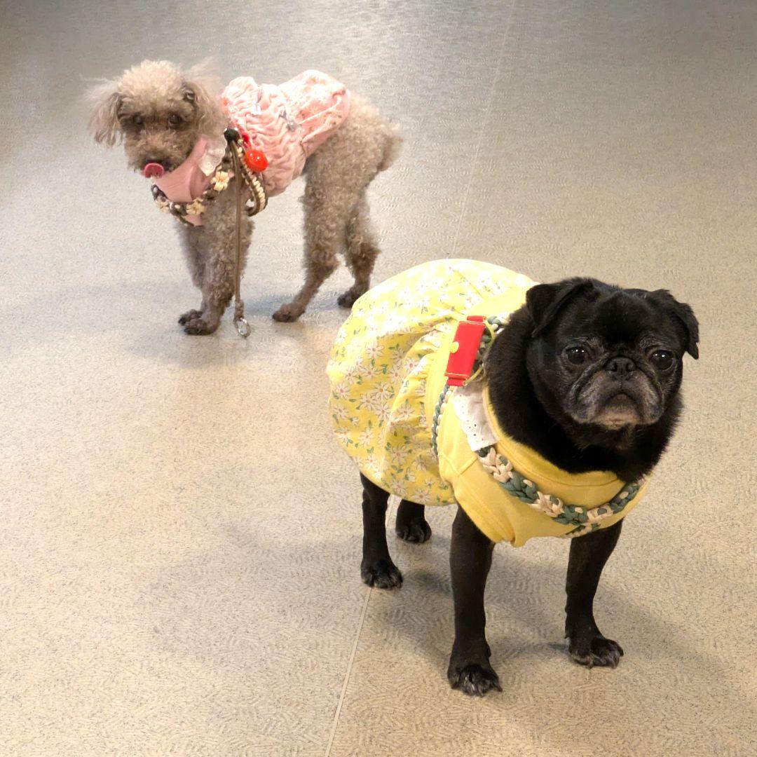 **お洋服着用写真**