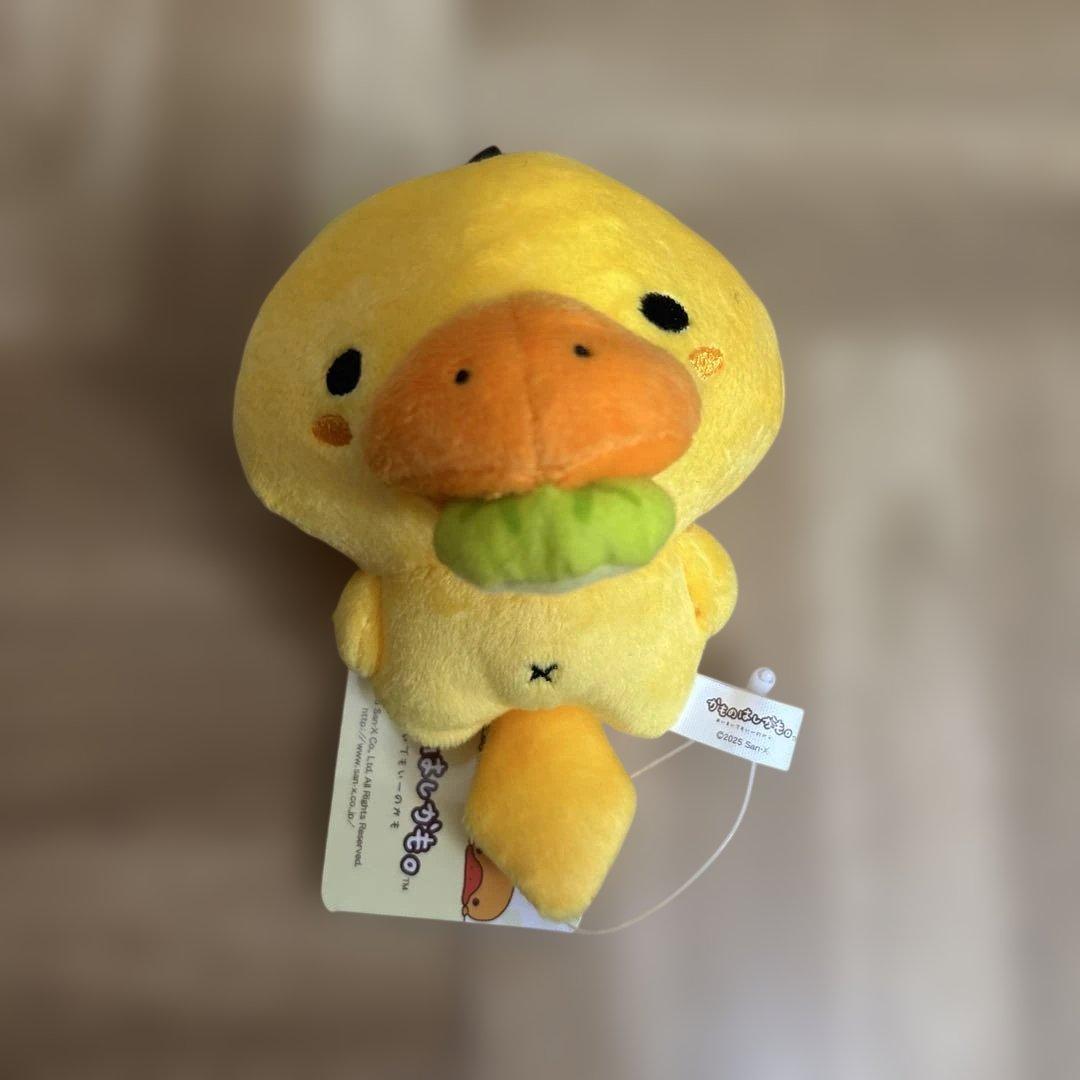 新品・かものはしかも・ぽかんとたん・サンエックス・てのりぬいぐるみ・まとめ売り