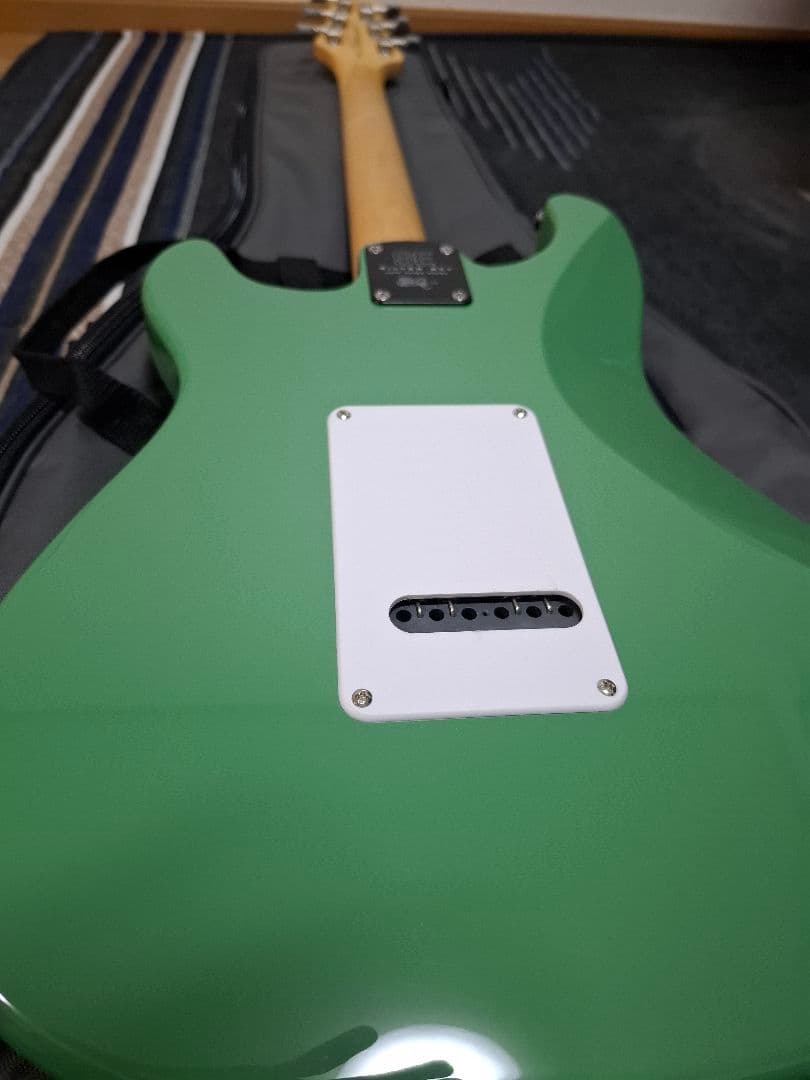 ギター Paul Reed Smith SE Siver Sky Ever Green