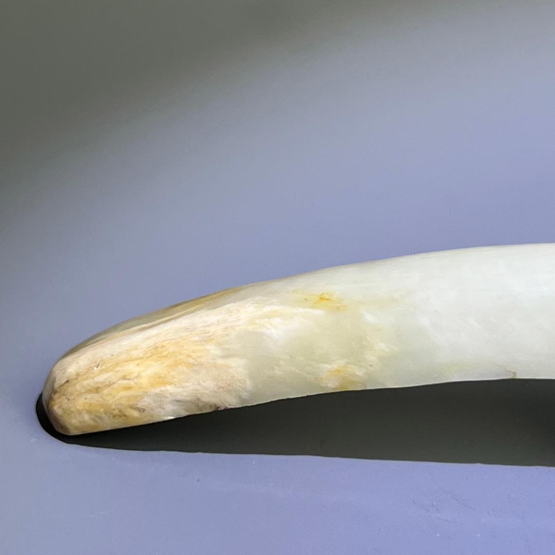 白玉龍帯鉤 清代 和田玉 古玉 古玉擺件 中国古玩 中国美術 唐物骨董 A912