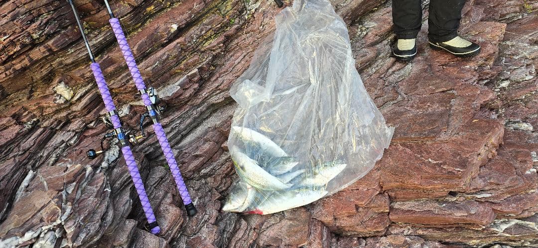 ソルティガAP-J66HS