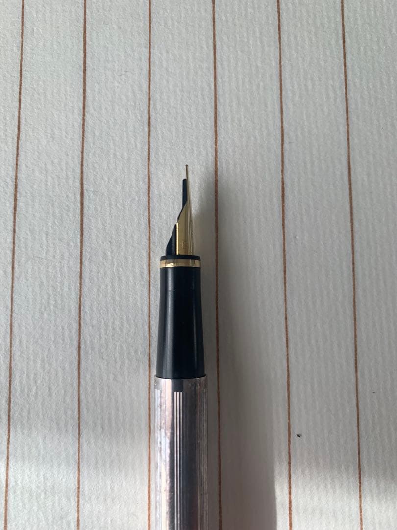 Caran d’Ache カランダッシュ 万年筆 18K