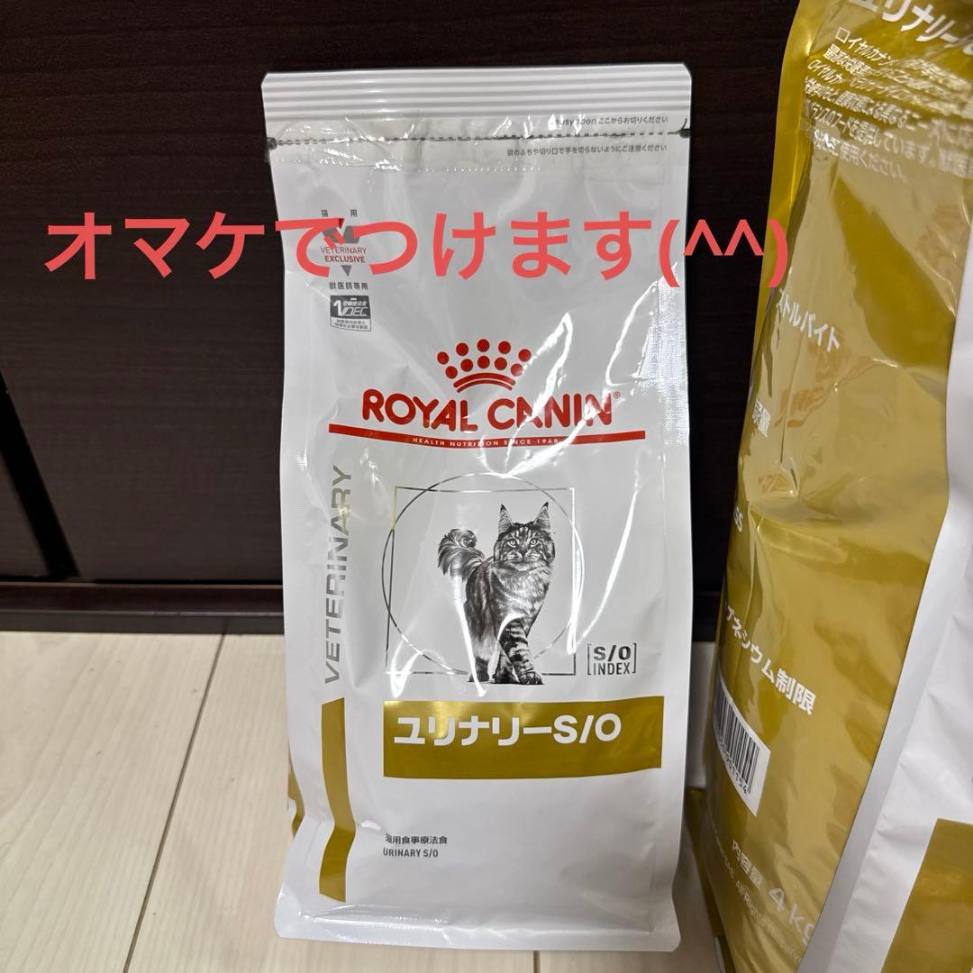 ④猫用 ユリナリーS/O オルファクトリー ドライ　4kg ＋オマケ500g