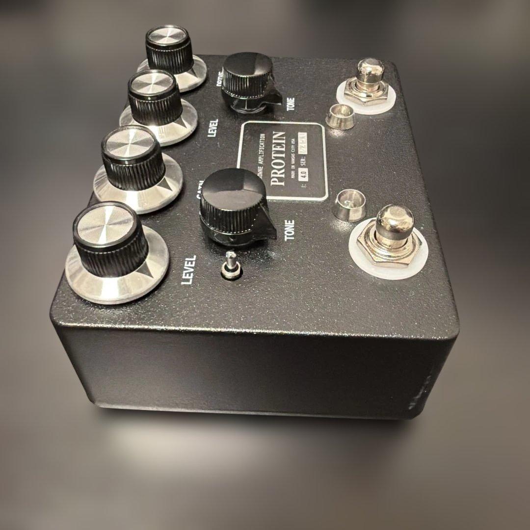 ギター Browne Amplification Protein V4