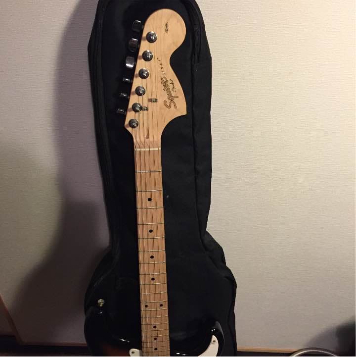 エレキギター (ケース付き)