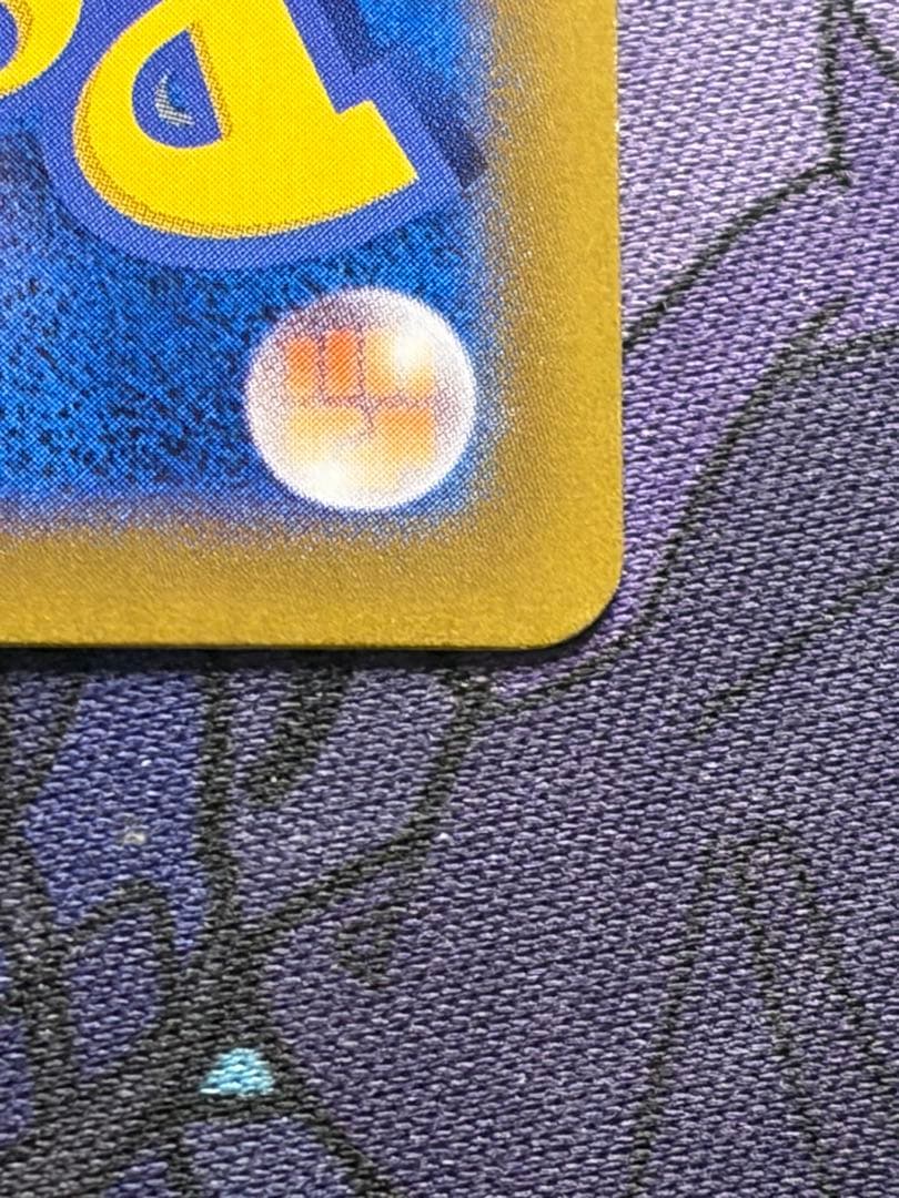 ポケモンカード　ルチアのアピール SAR