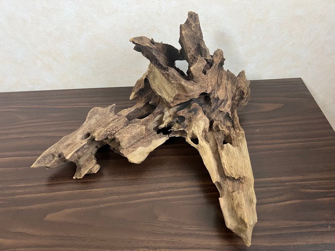 XM-378 流木　マシンガンウッド　アクアリウム　ブランチウッド