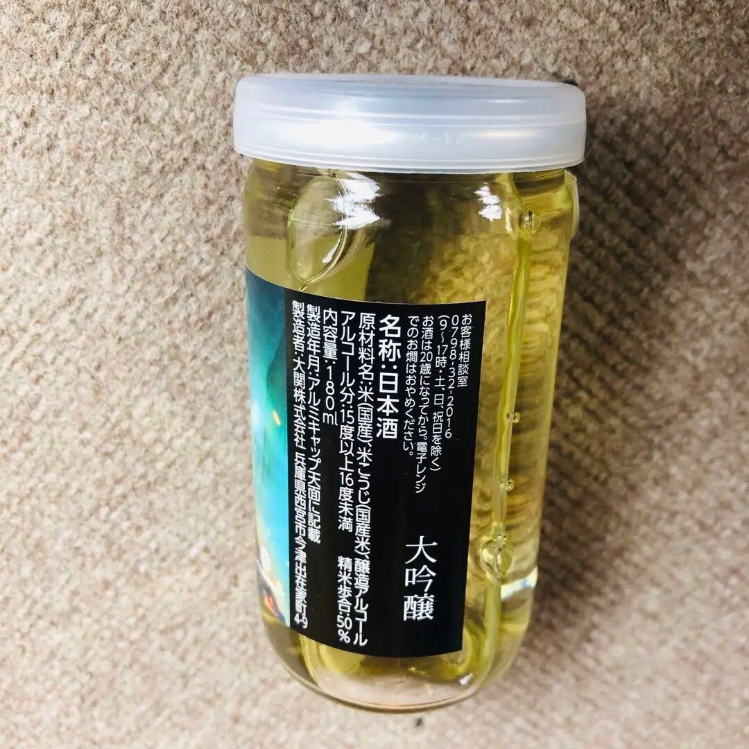 ワンカップ大関　ゴジラ/キング・オブ・モンスター通販限定５本入ボックス　２箱