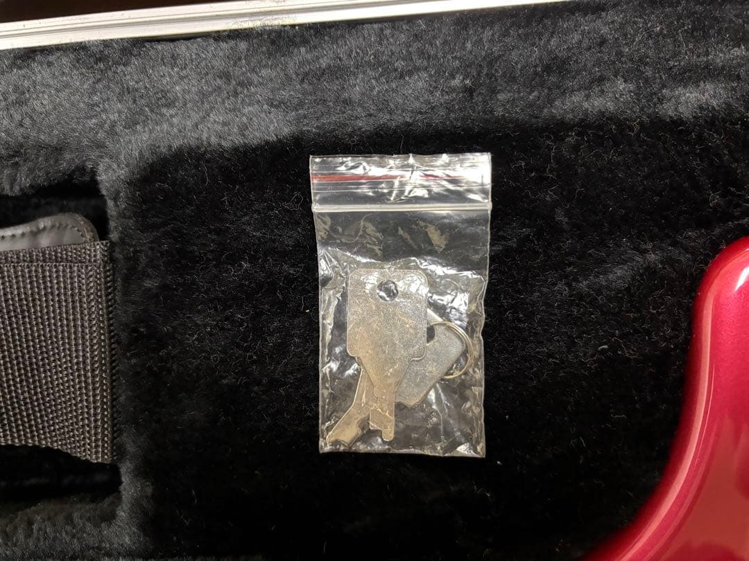 FERNANDES デジゾーハイパー(ジャンク)＋専用ハードケース＋付属品