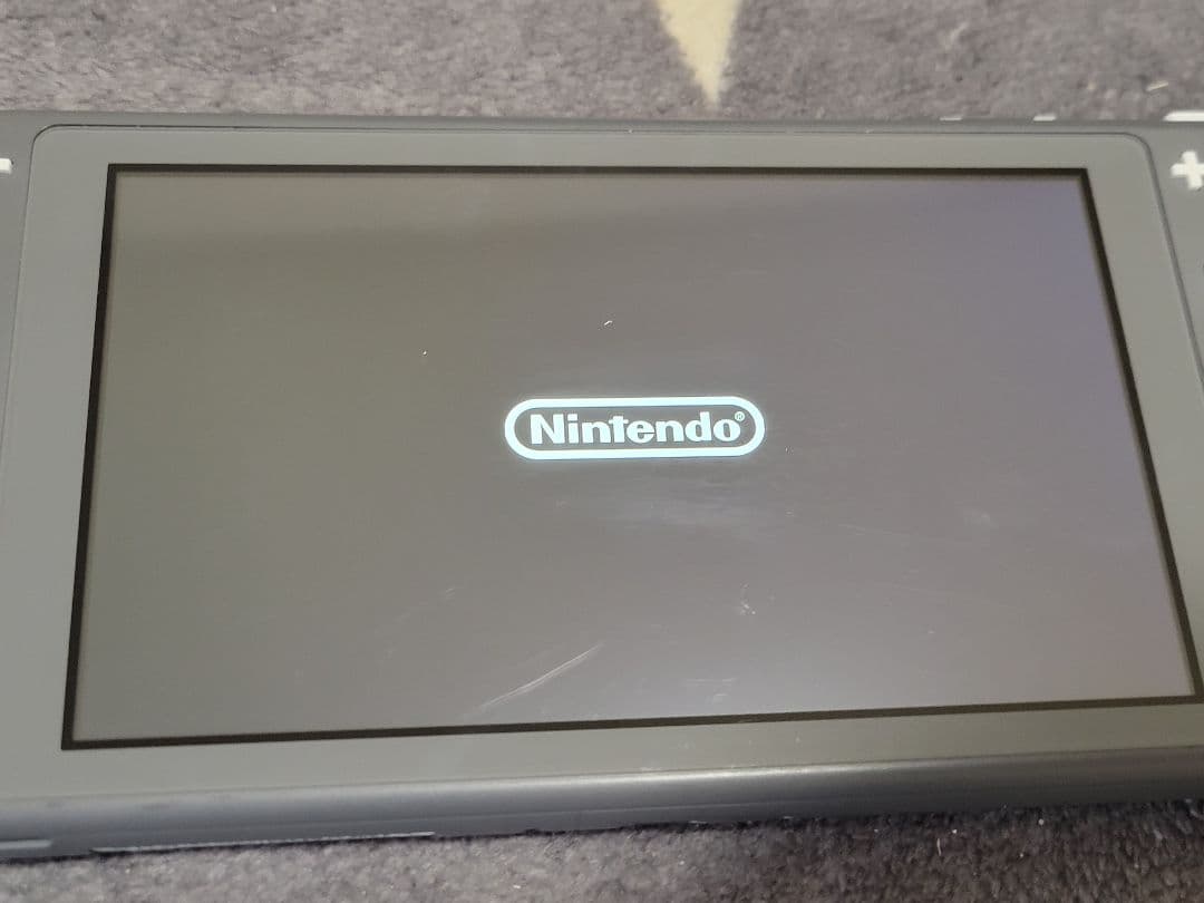 Nintendo Switch Nintendo Switch Light