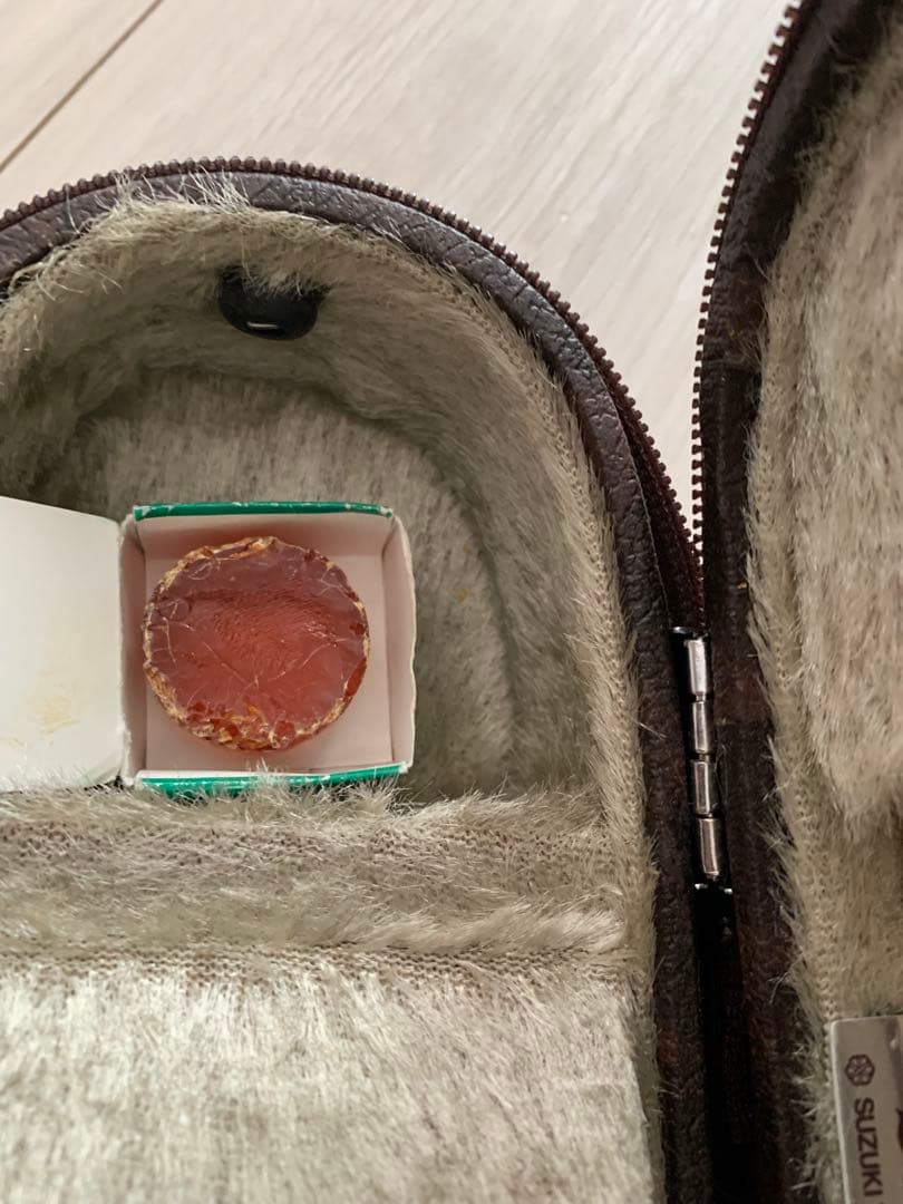 鈴木バイオリン No.200 1/10サイズ