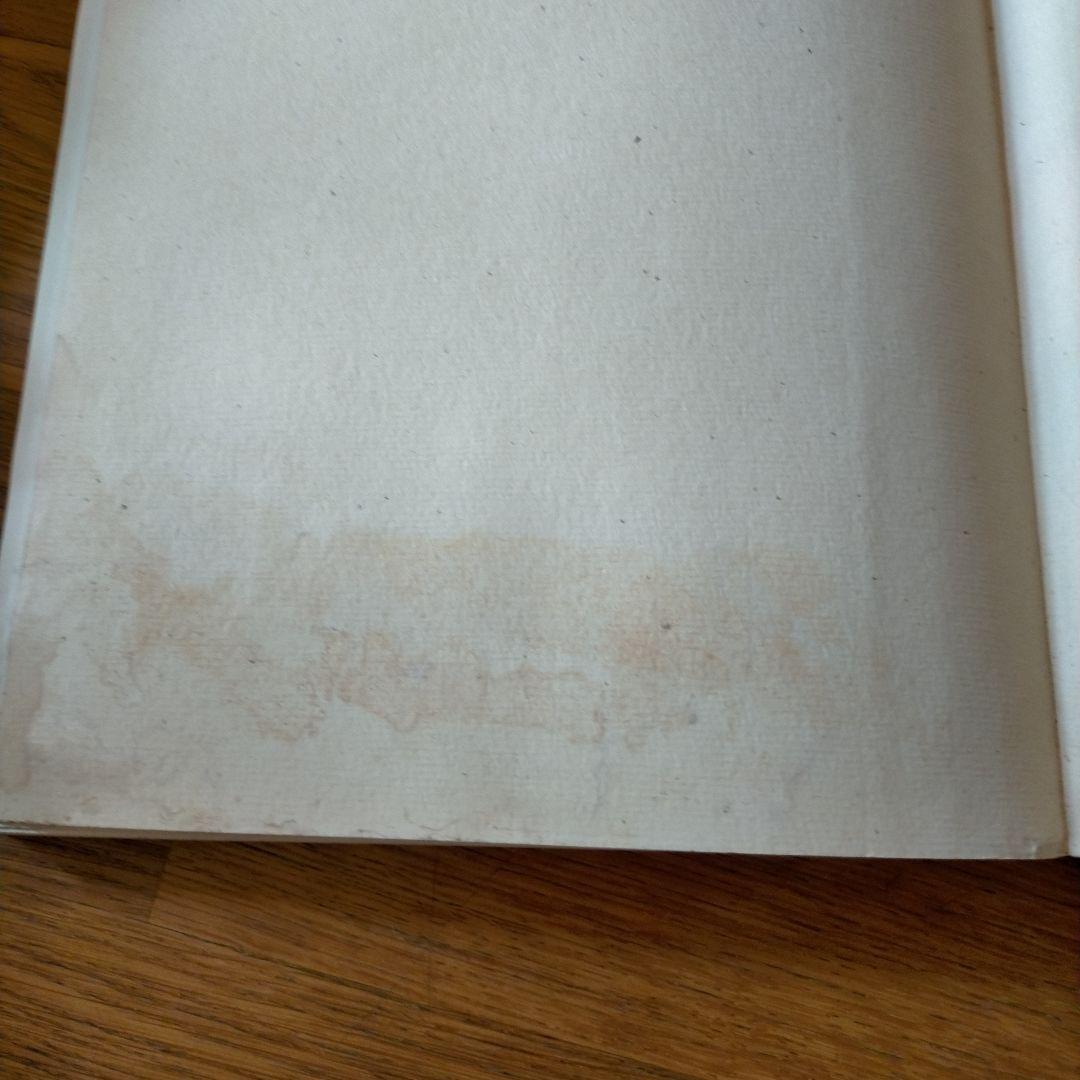 ISSEY MIYAKE East Meets West 三宅一生の発想と展開