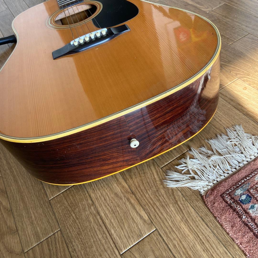 Morris W-20 アコースティックギター