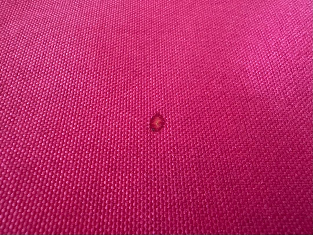 希少品　Kermit Chair カーミットチェア オーク 正規品　 USA製