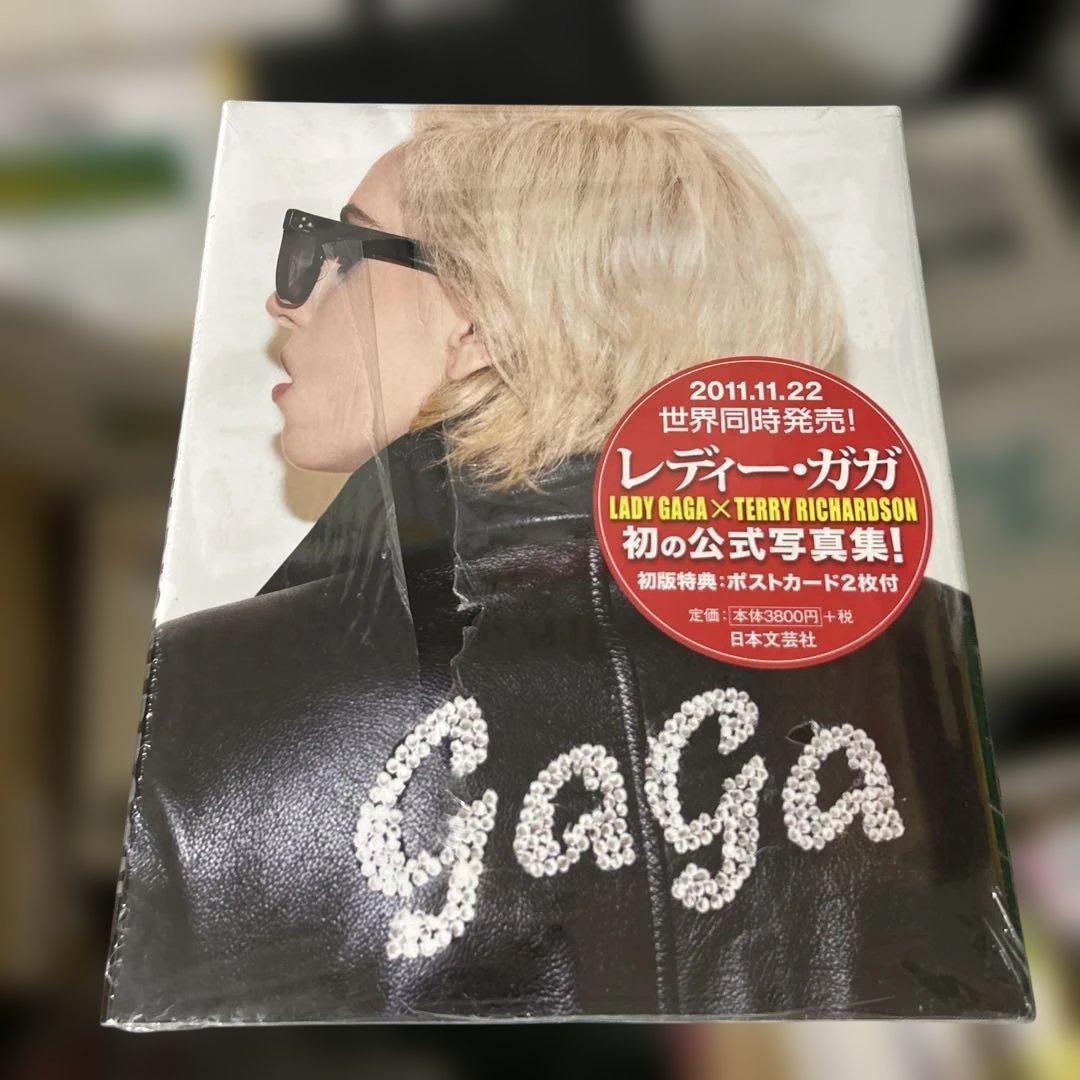 新品　未開封　レディーガガ　写真集　ツアーパンフレット　クリアファイル　ガガ