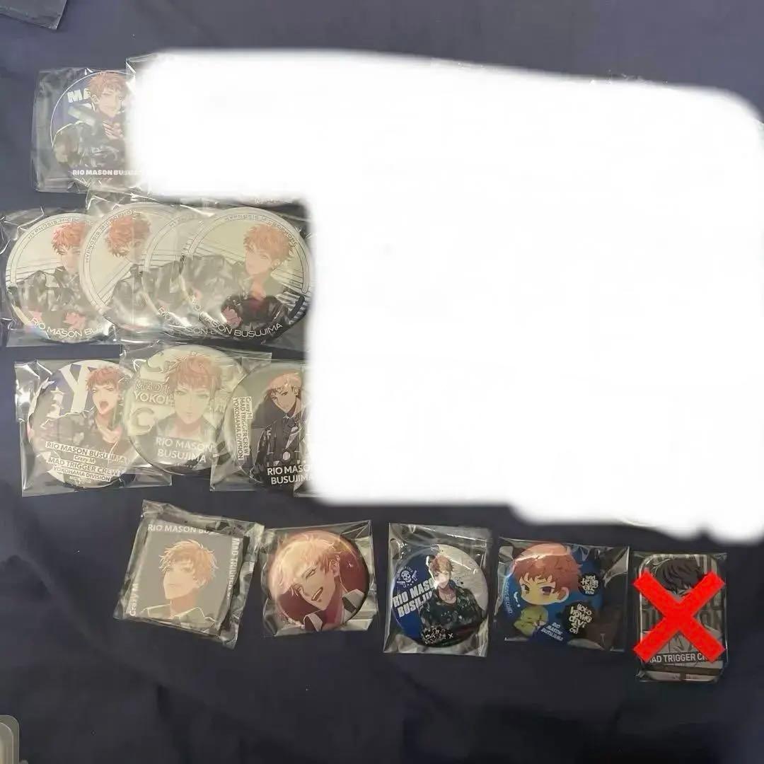 毒島メイソン理鶯