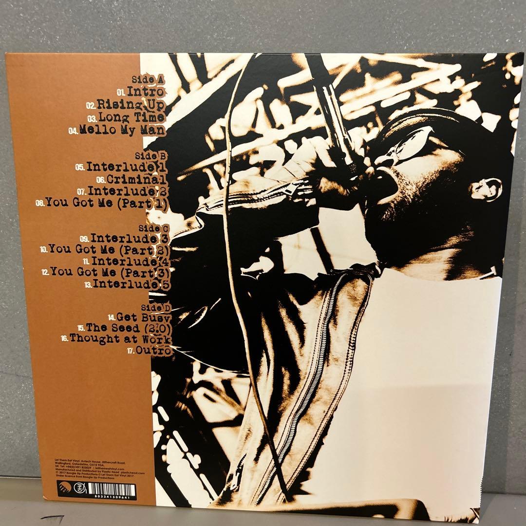 洋楽 the roots / live au festival rock en