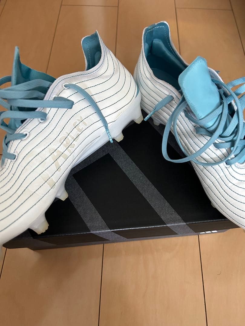 コパピュア.1 FG COPA PURE.1