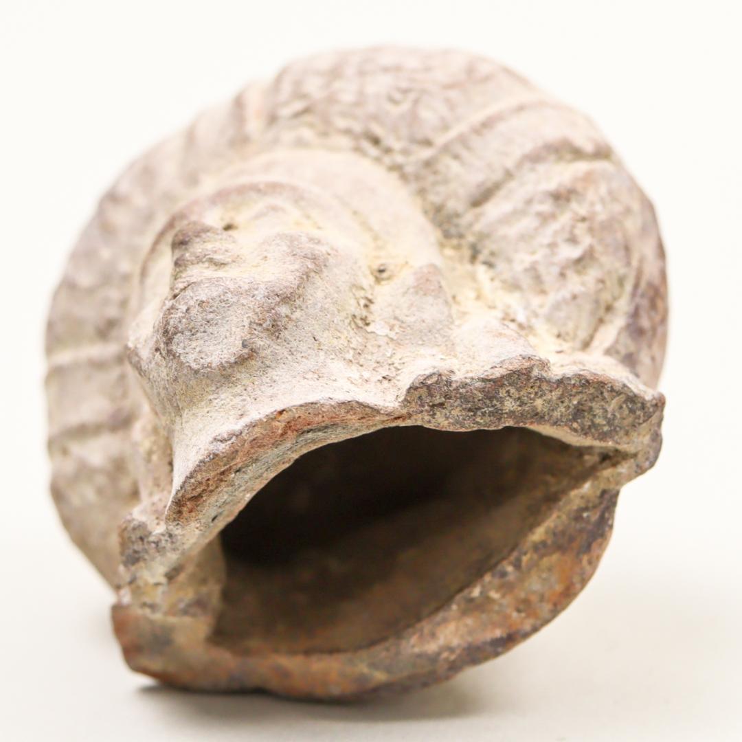 テラコッタ 発掘 置物 土器