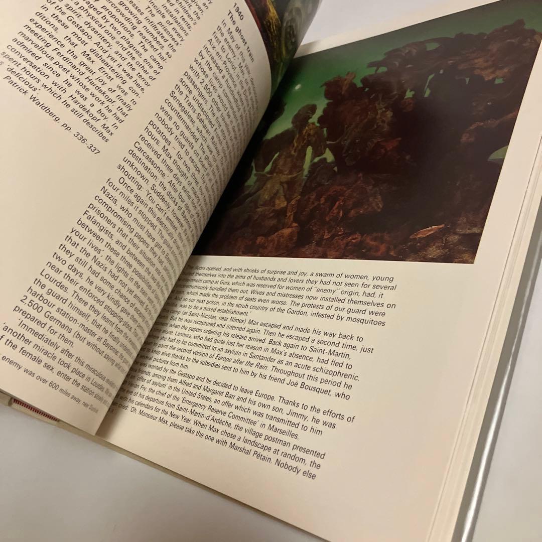 画集　マックス・エルンスト　Max Ernst Edward Quinn編