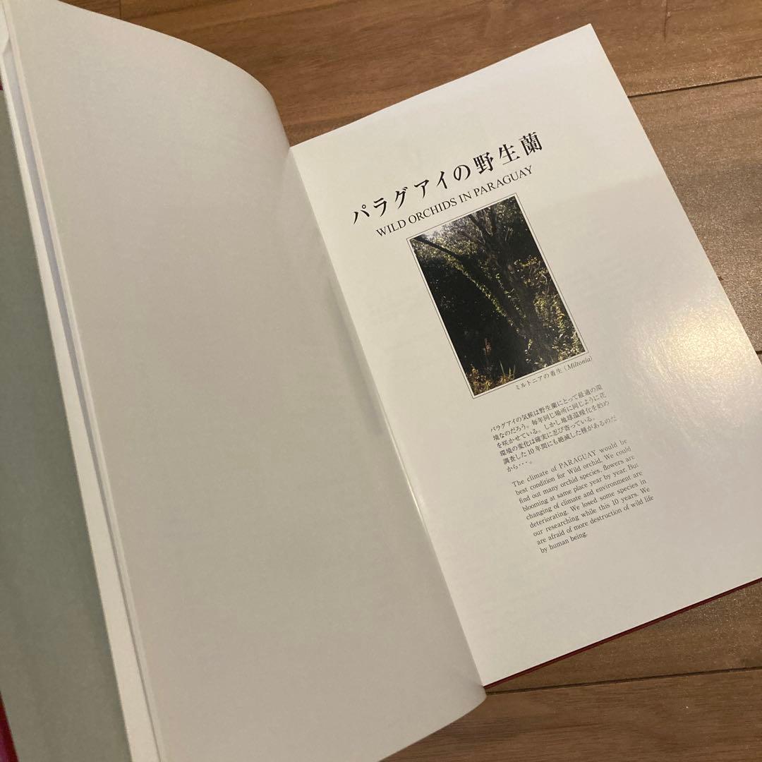 野生ラン 写真集「艶蘭亭 ADELANTE - パラグアイの野生蘭と甲虫」小山貢