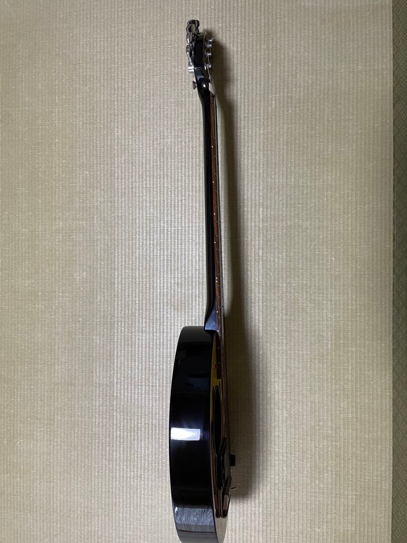 ZO-3ギター　ファイヤーパターン