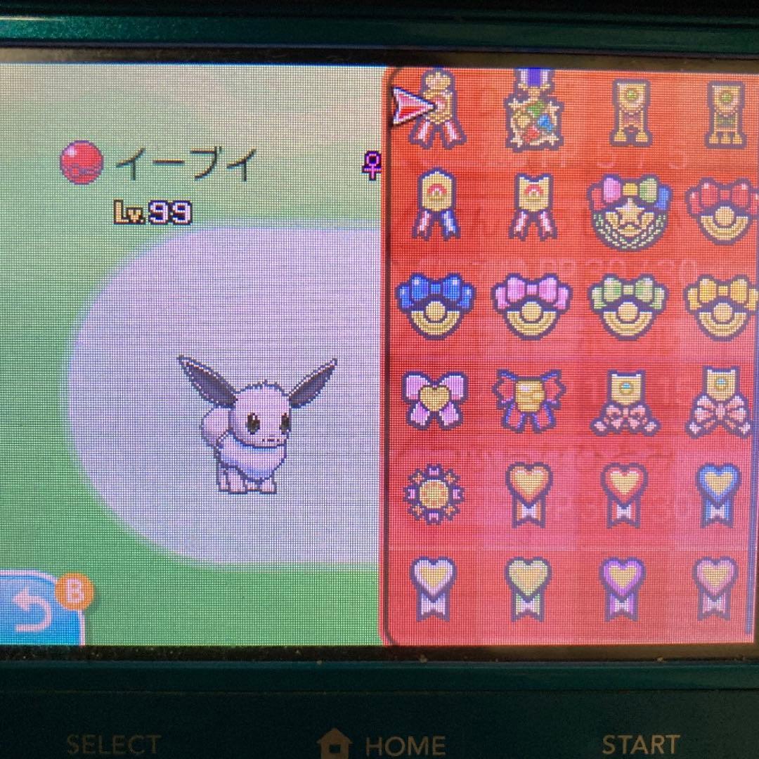 ポケットモンスター ムーン 配信色イーブイ 6.7世代リボンコンプ203