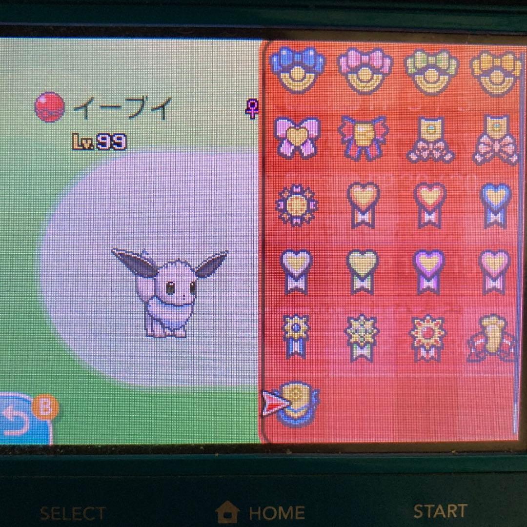 ポケットモンスター ムーン 配信色イーブイ 6.7世代リボンコンプ203