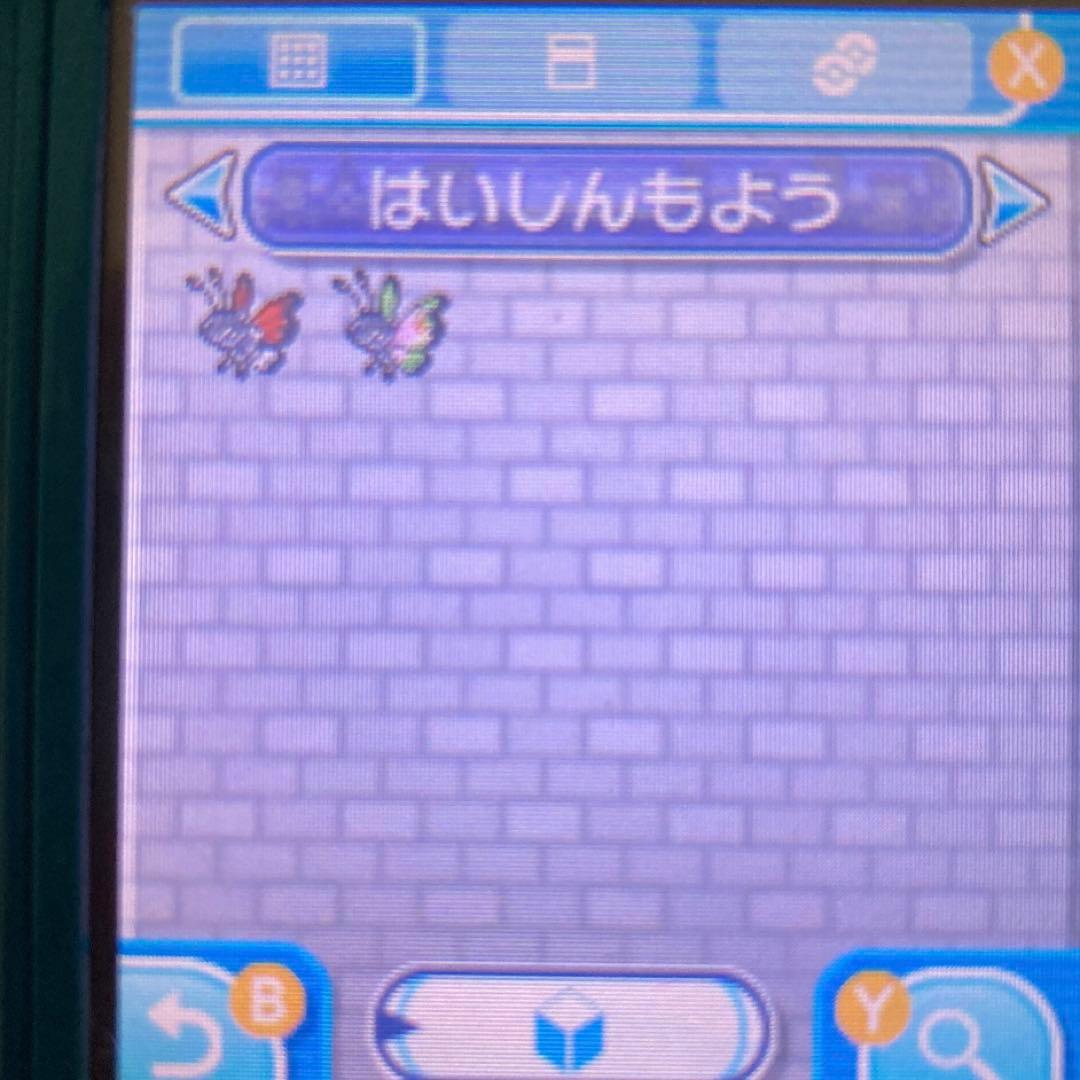 ポケットモンスター ムーン 配信色イーブイ 6.7世代リボンコンプ203