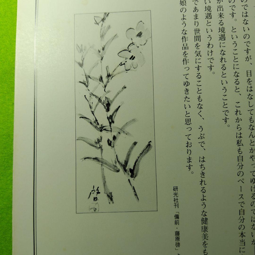レア限定品人間国宝藤原啓、新品軸装です、本人直筆書体、合わせ桐箱です、作品図録付