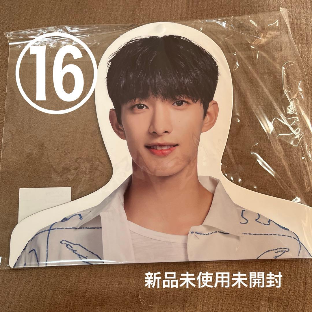 SEVENTEEN ドギョム DK うちわ 最安値 まとめ買い