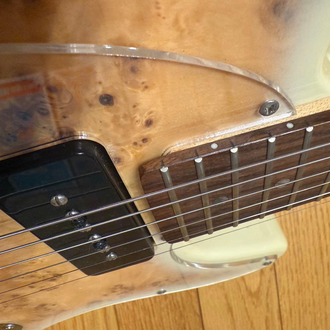 Bacchus / TACTICS バッカス テレキャスター